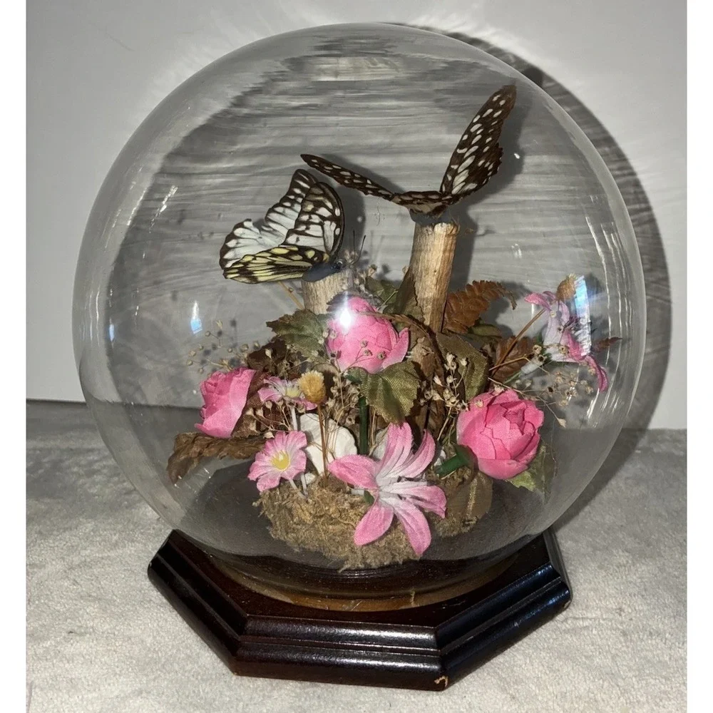 Vintage Butterfly Taxidermy Dried And Faux Pink Flowers In Glass Dome‎ Decor